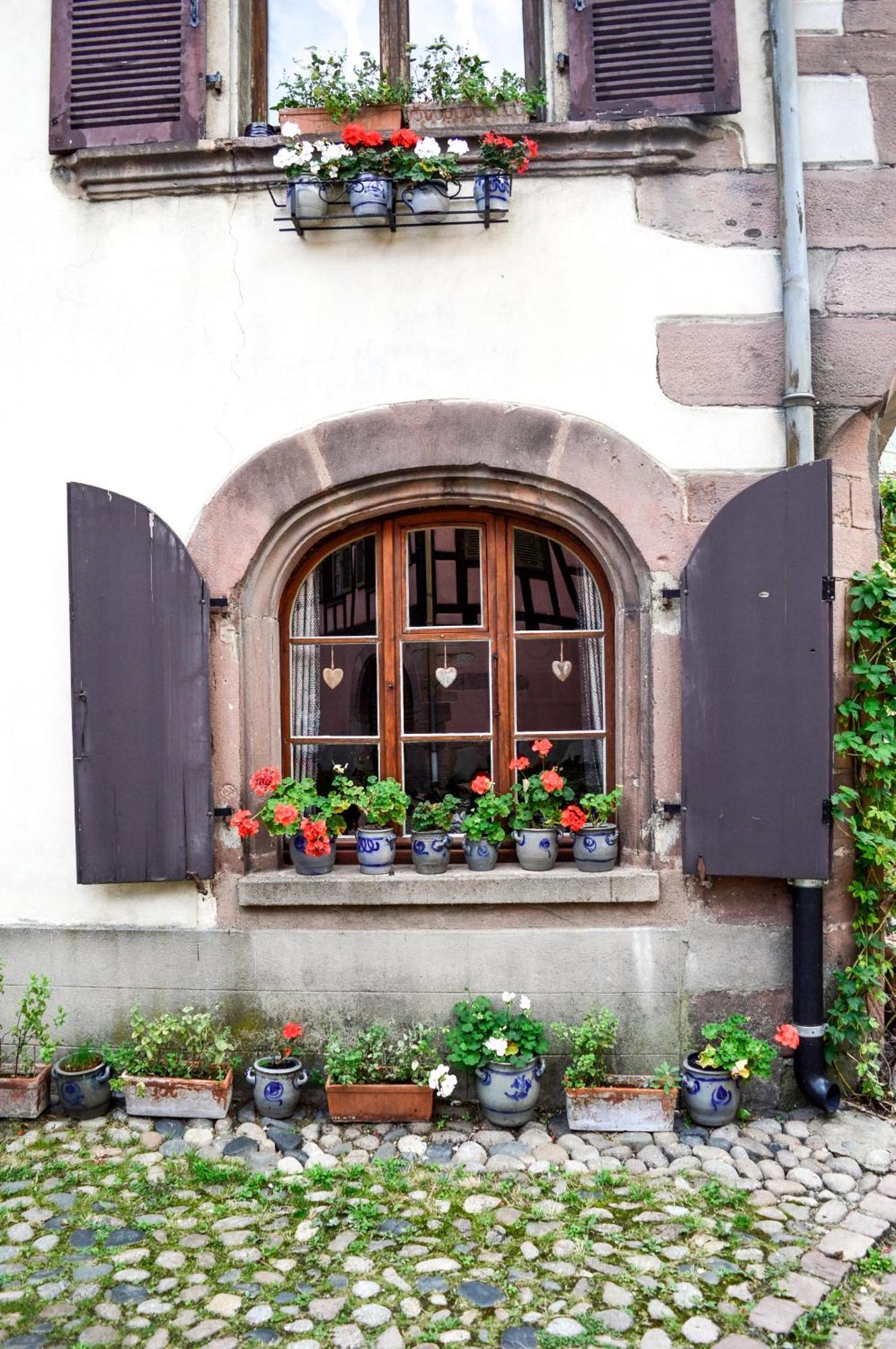 Chaud'Vin Apartamento Kaysersberg-Vignoble Exterior foto