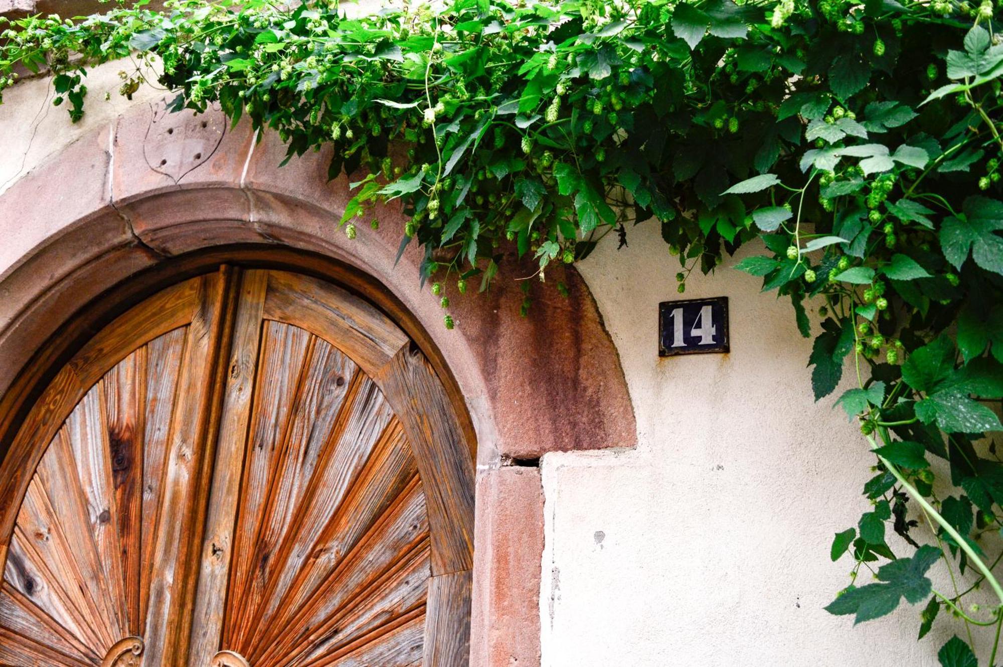 Chaud'Vin Apartamento Kaysersberg-Vignoble Exterior foto